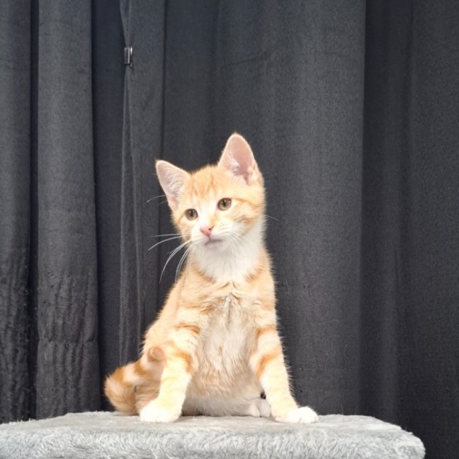 Photo of Tristan