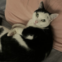 Photo of Ray Ray