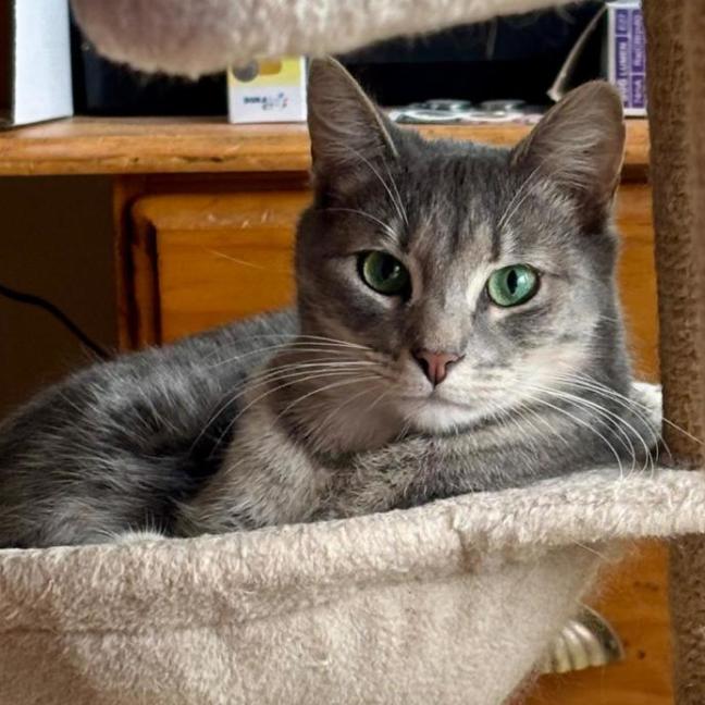 Photo of 🐭 Gustav 🐭