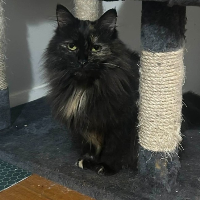 Photo of Mariska And Antoni ❣️❣️