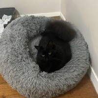 Photo of Mariska And Antoni ❣️❣️