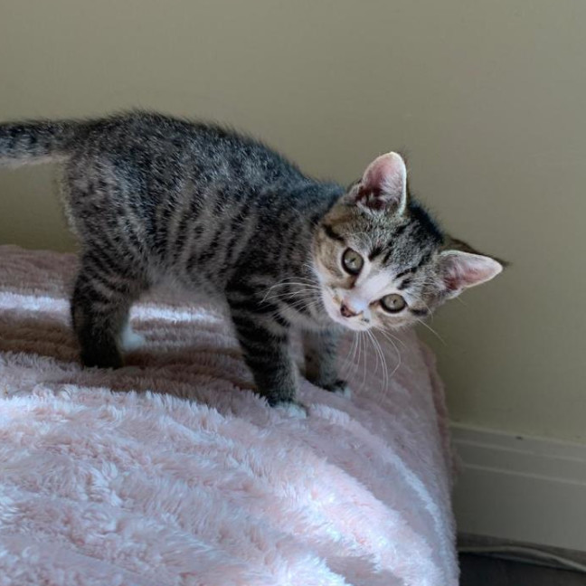 Photo of Bean & Munchkin