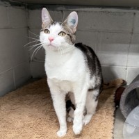 Photo of Maisy
