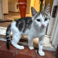 Photo of Jemima