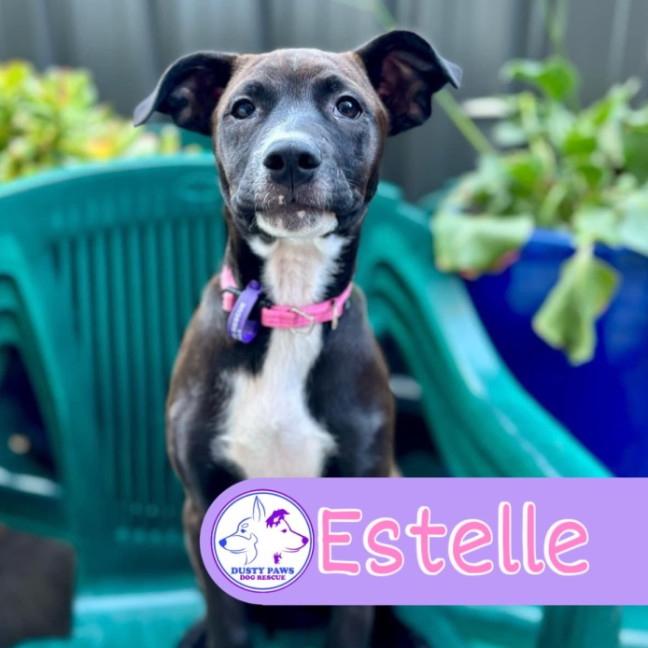 Photo of Estelle