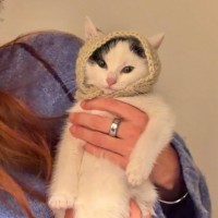 Photo of Smudge