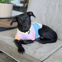 Photo of Daisy