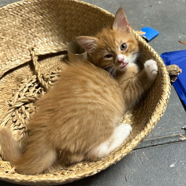 Photo of Charming