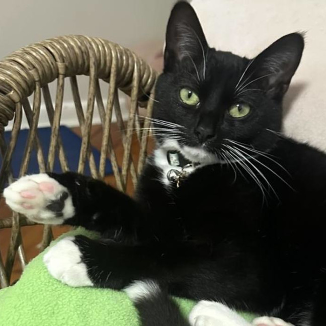 Photo of 🖤 Suki 🖤