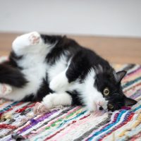 Photo of Ella