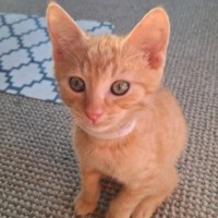 Photo of Jerry