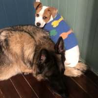 Photo of Storm