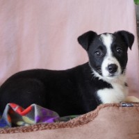 Photo of Mia