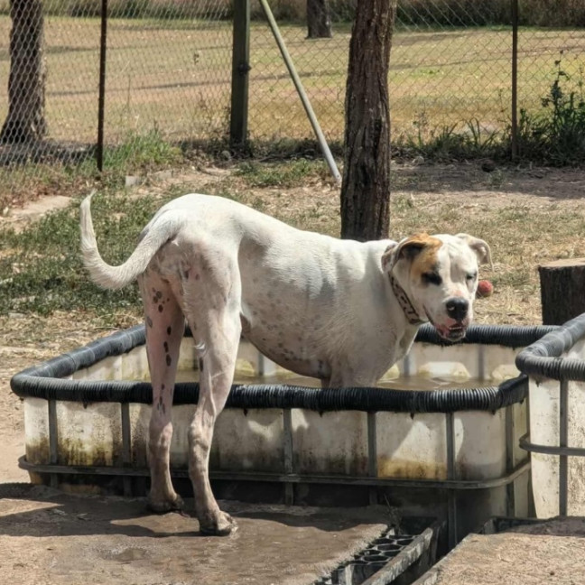 Photo of Esther 