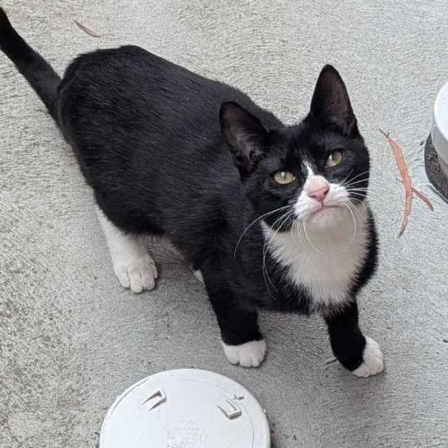 Photo of Michael Teddy 