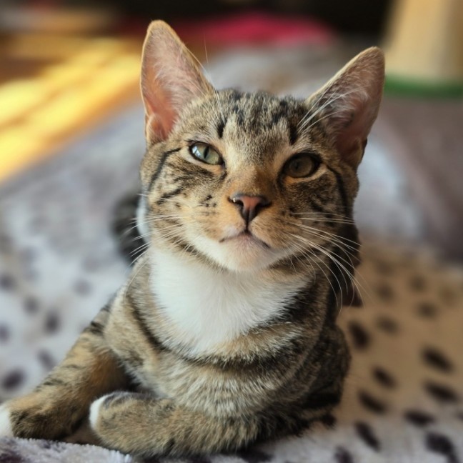 Photo of Bill