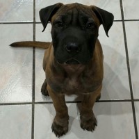 Photo of Tate