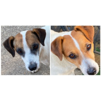 Photo of Turbo And Mazie