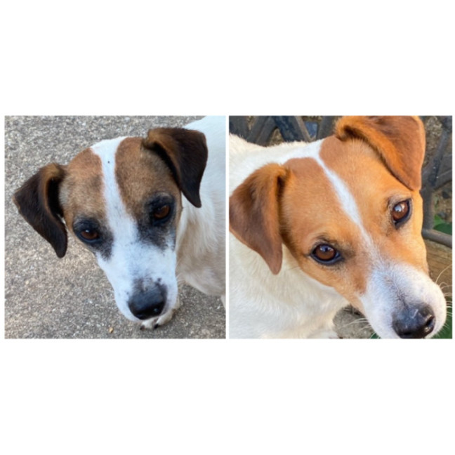 Photo of Turbo And Mazie