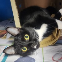 Photo of Cali