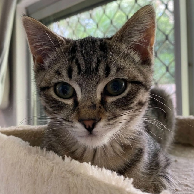 Photo of Calvin