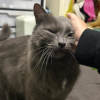 Photo of Blue