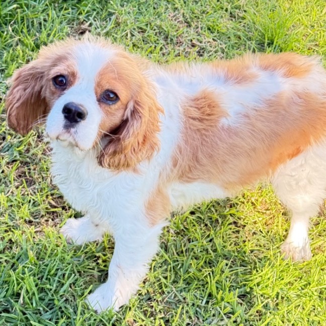 Photo of Ruth