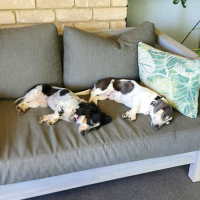 Photo of Ida And Tulsa