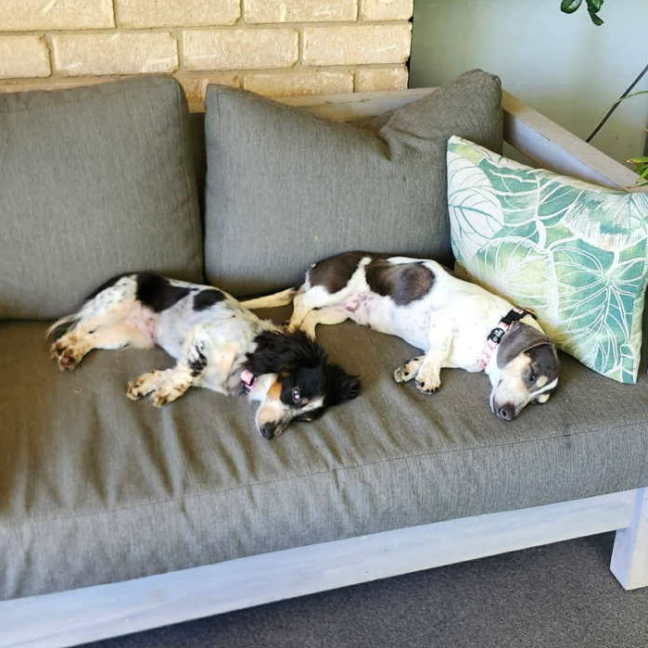 Photo of Ida And Tulsa