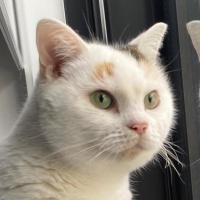 Photo of Blanquita