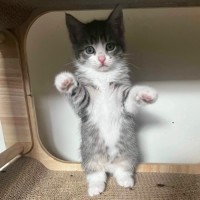 Photo of Spyro & Smokey