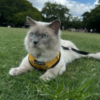 Photo of Louie