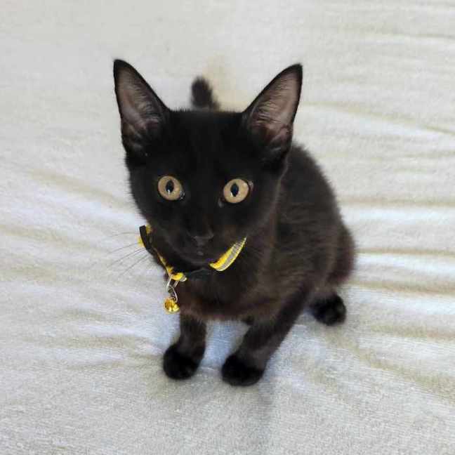 Photo of Edgar