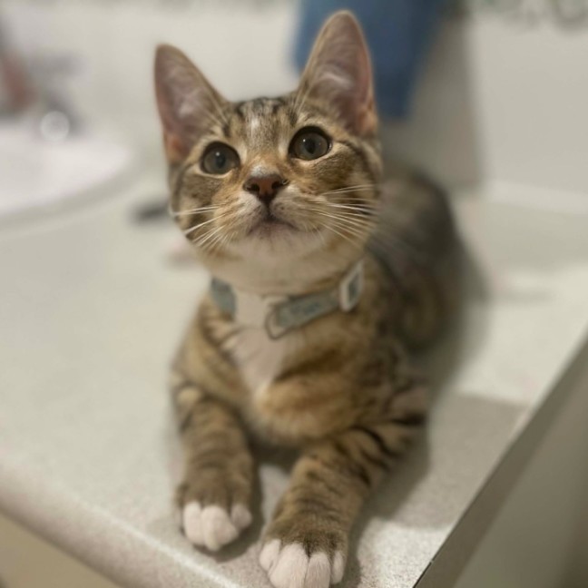 Photo of Truffle