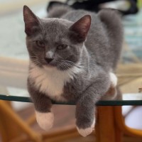 Photo of Stormi