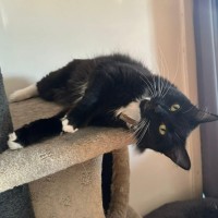 Photo of Lucy