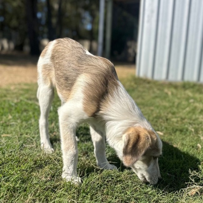 Photo of Clyde