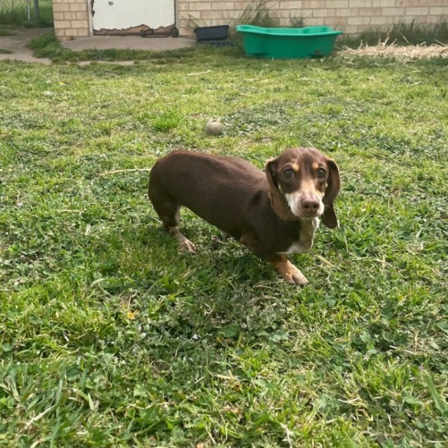 Photo of Dorothy