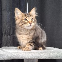 Photo of Lara