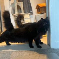 Photo of Zeb & Jett