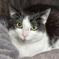 Photo of 🧶 Luca 6596 🧶