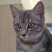 Photo of C1476 Ishka