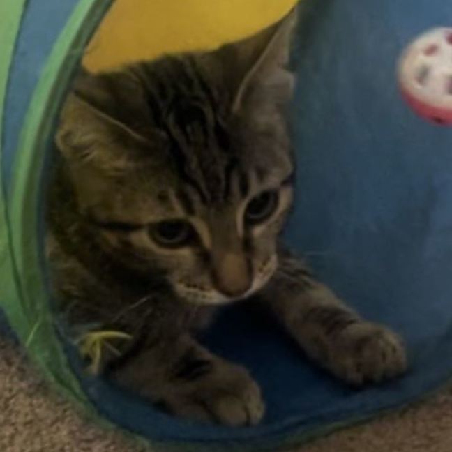 Photo of Waylon