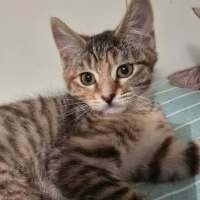 Photo of Jully