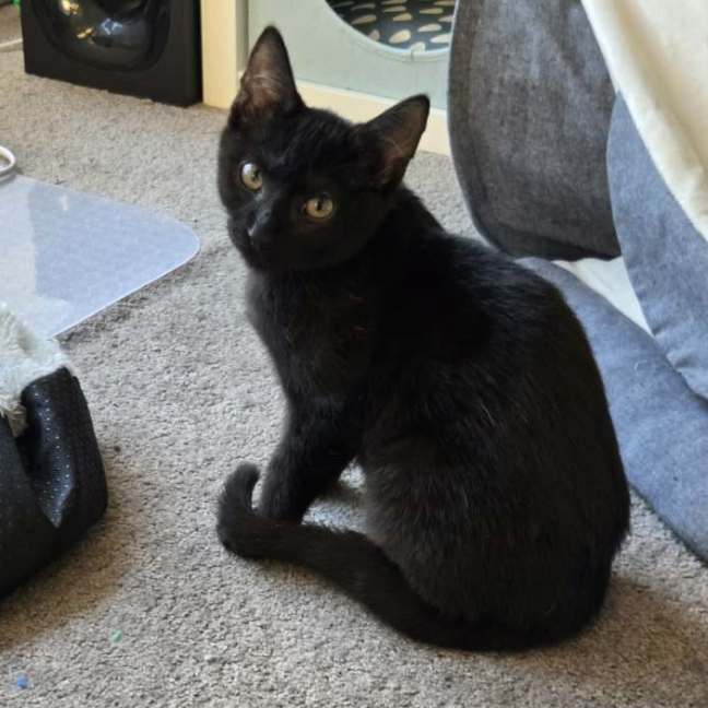 Photo of Zuko 