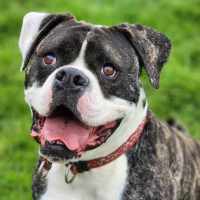 Photo of 🍄 Yoshi 5242 🍄