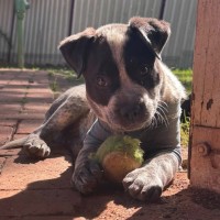 Photo of Mater