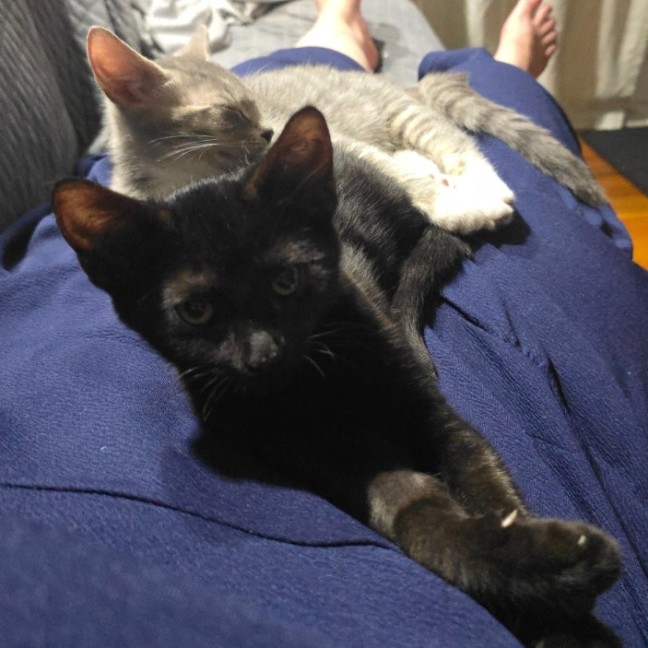 Photo of Emine Aka "Babybat"