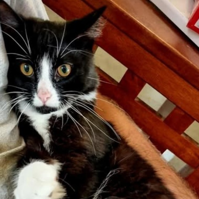 Photo of Sebastian