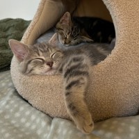 Photo of Pecan And Pistachio